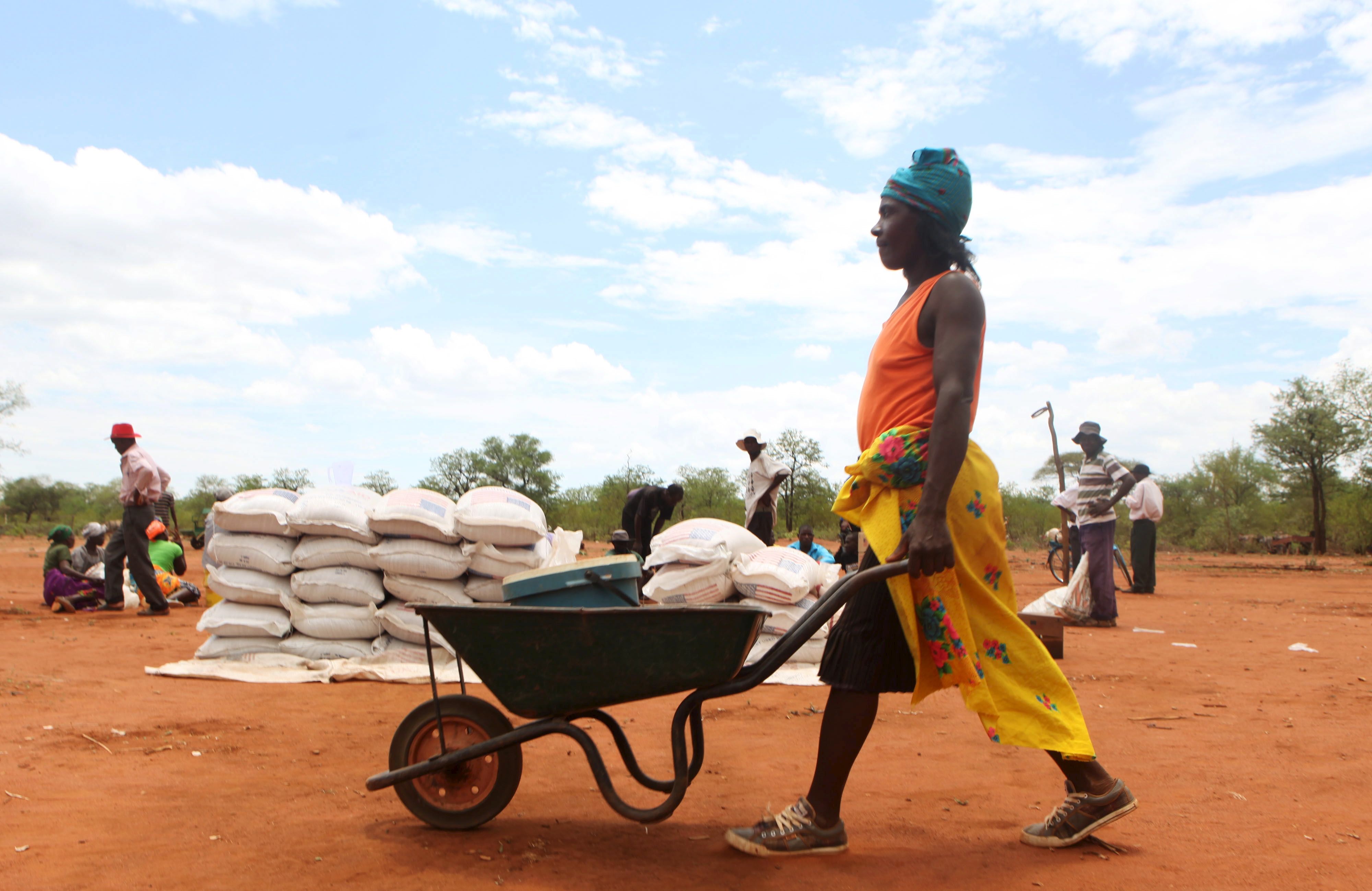 Designing An Agricultural Mechanization Strategy In Sub-Saharan Africa