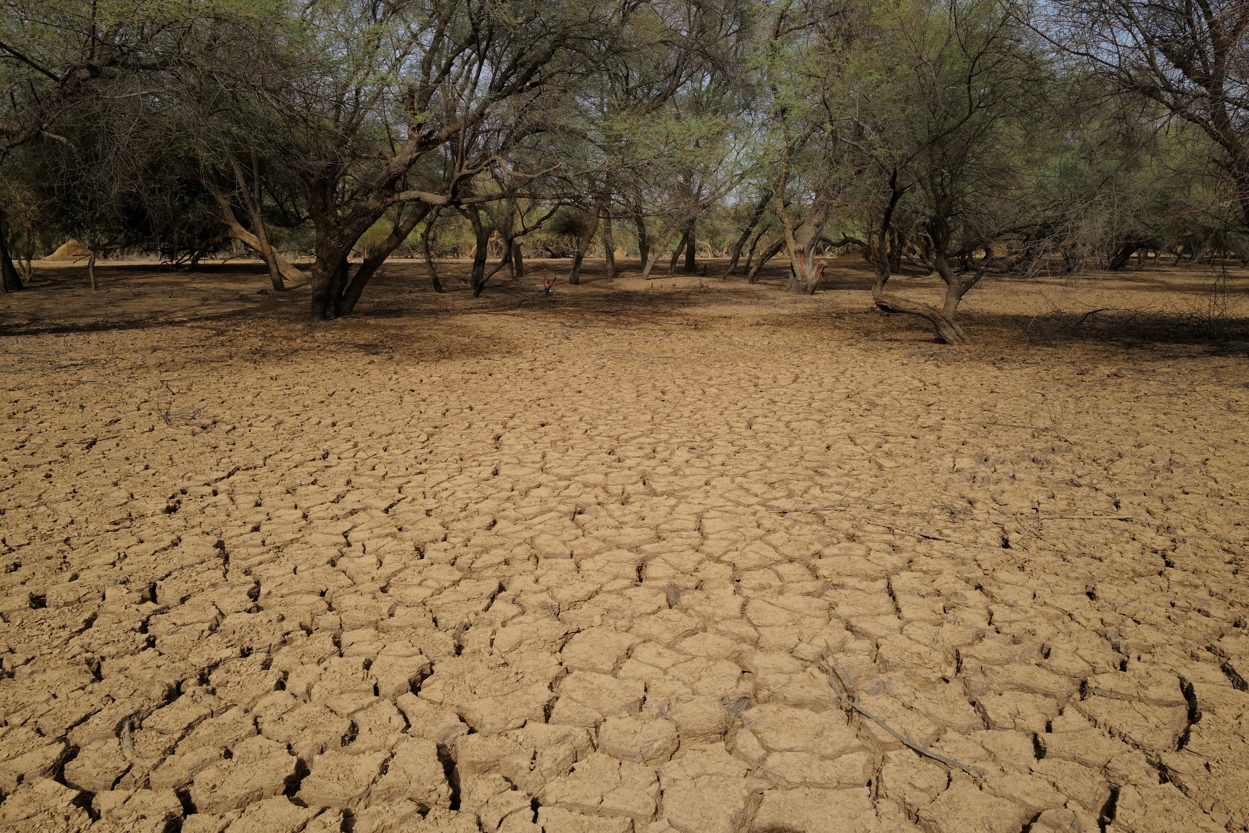 african drought problems