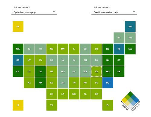 Preview image of the dispair and misinformation interactive