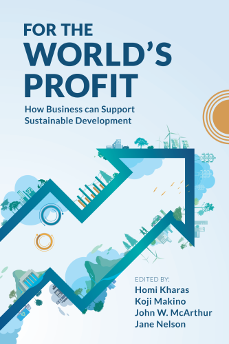 Book cover for "For the World's Profit: How Business Can Support Sustainable Development"